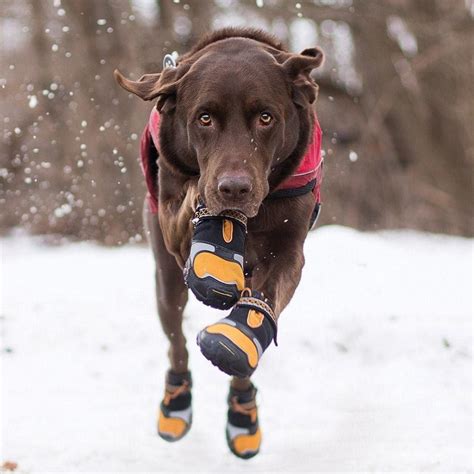 d&g winter boots